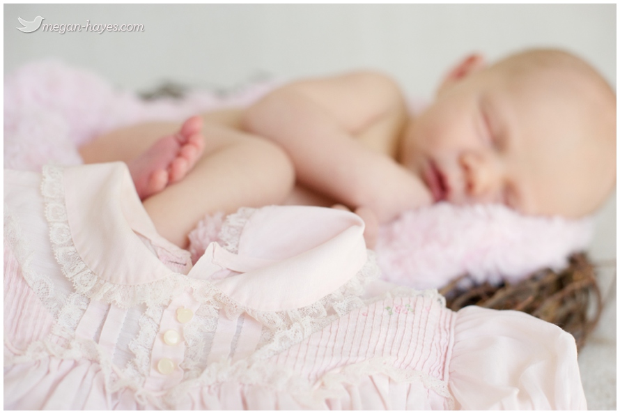 Newborn Baby Girl_0004
