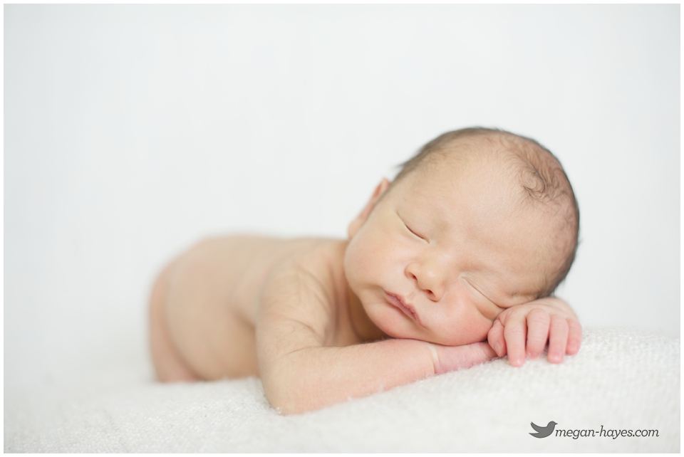 Baby Boy Newborn Photography 
