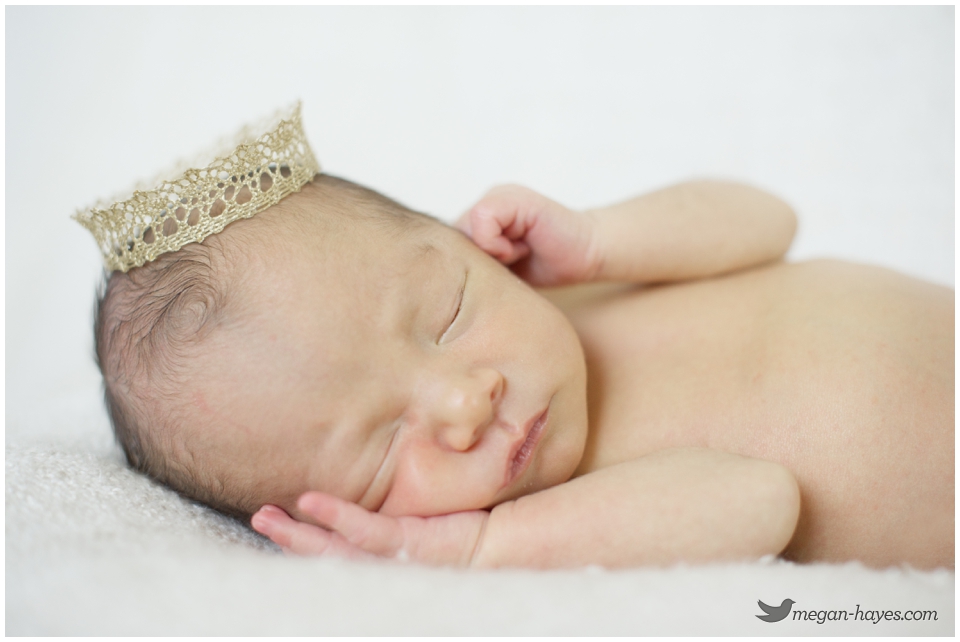 Baby Boy Newborn Photography 