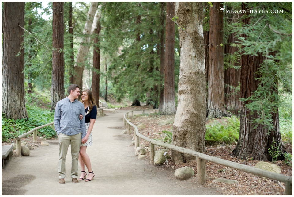 Redwood Engagement Photos